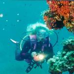 Mero Diving Cala Ratjada