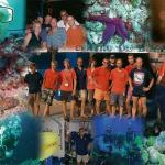 Mero Diving Cala Ratjada