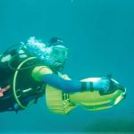 Mero Diving Cala Ratjada