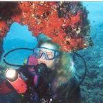 Mero Diving Cala Ratjada