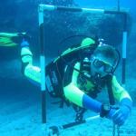 Mero Diving Cala Ratjada