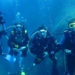 Mero Diving Cala Ratjada
