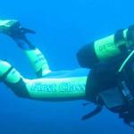Mero Diving Cala Ratjada