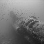 Geschichte Mero Diving