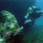 Geschichte Mero Diving