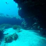 Unterwasserwelt Mallorca