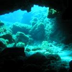 Unterwasserwelt Mallorca