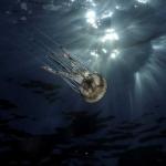 Unterwasserwelt Mallorca