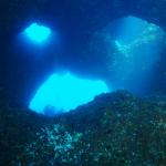 Under water world Mayorca