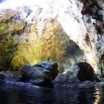 Unterwasserwelt Mallorca