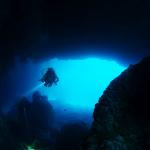 Under water world Mayorca