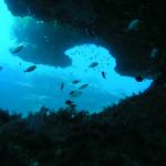 Unterwasserwelt Mallorca