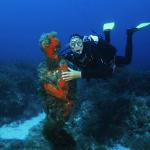 Under water world Mayorca