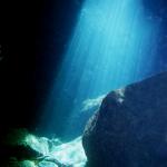 Unterwasserwelt Mallorca
