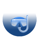 Snorkelling